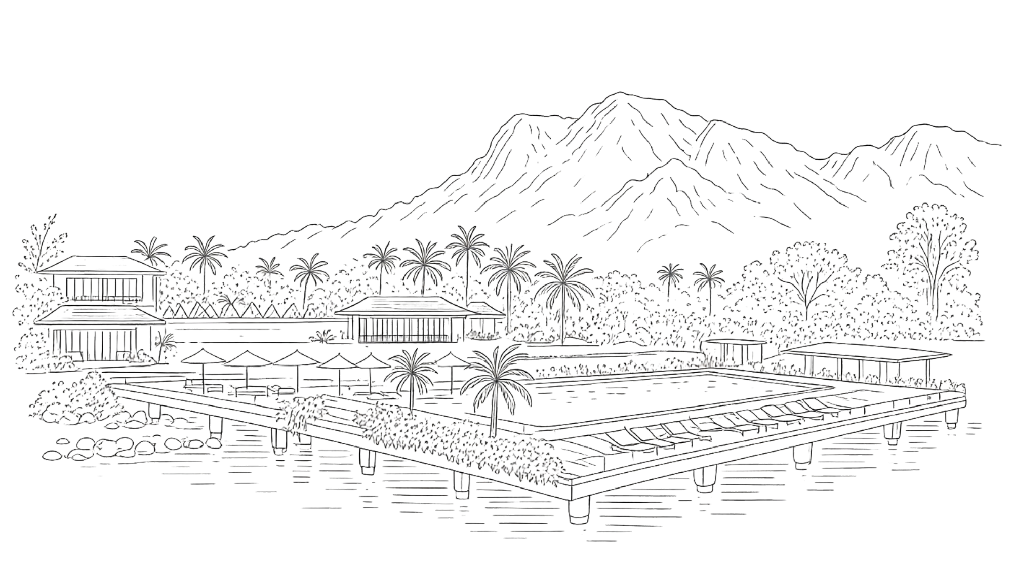 Cove55 illustration